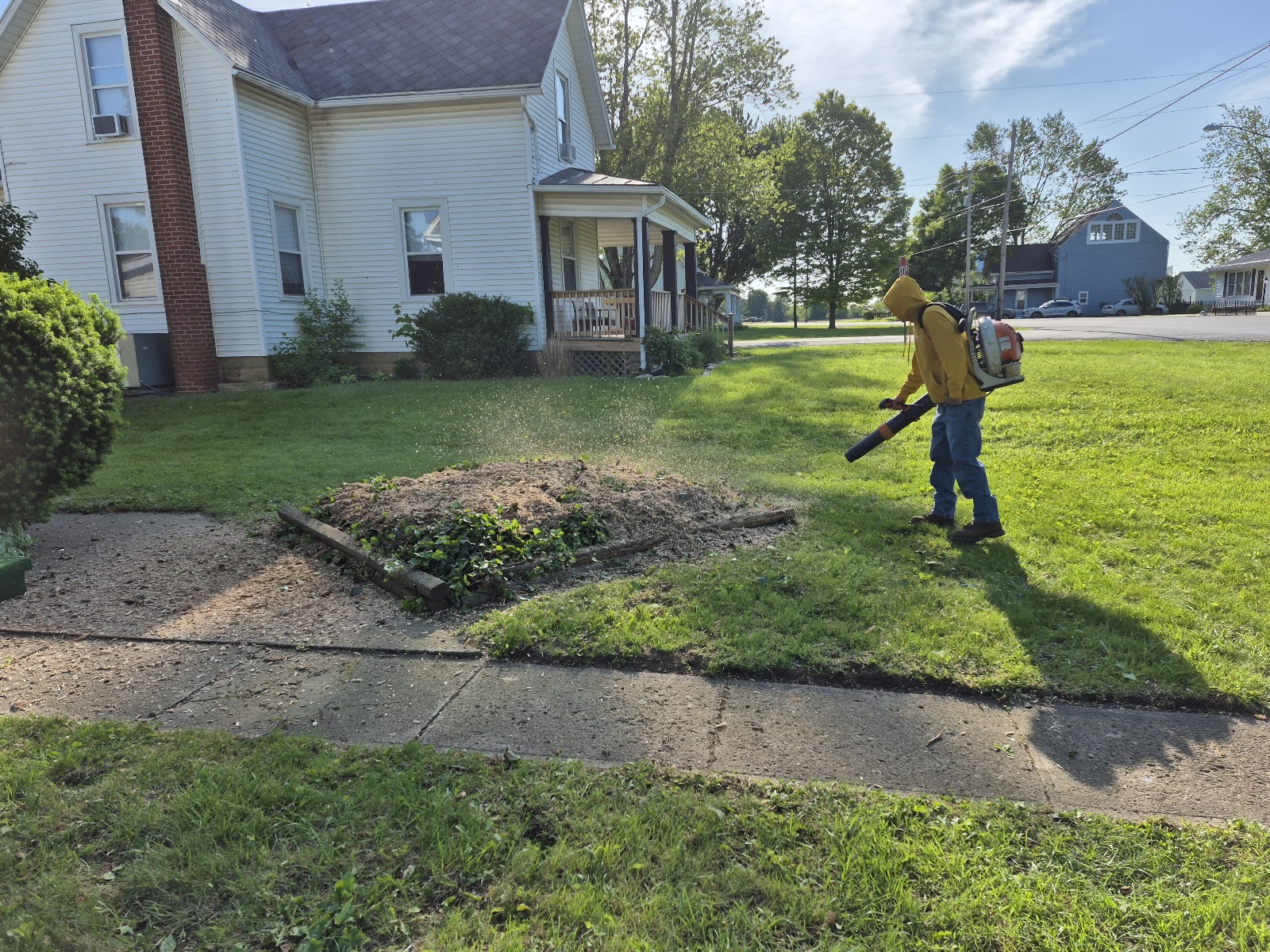 Tree work