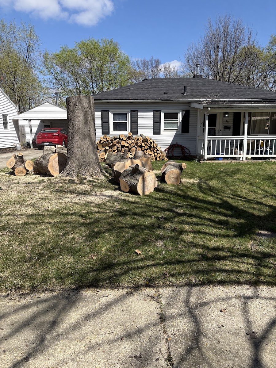 Tree work