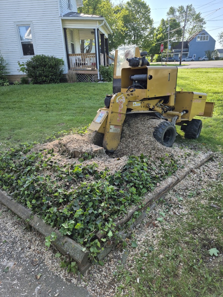 Tree work