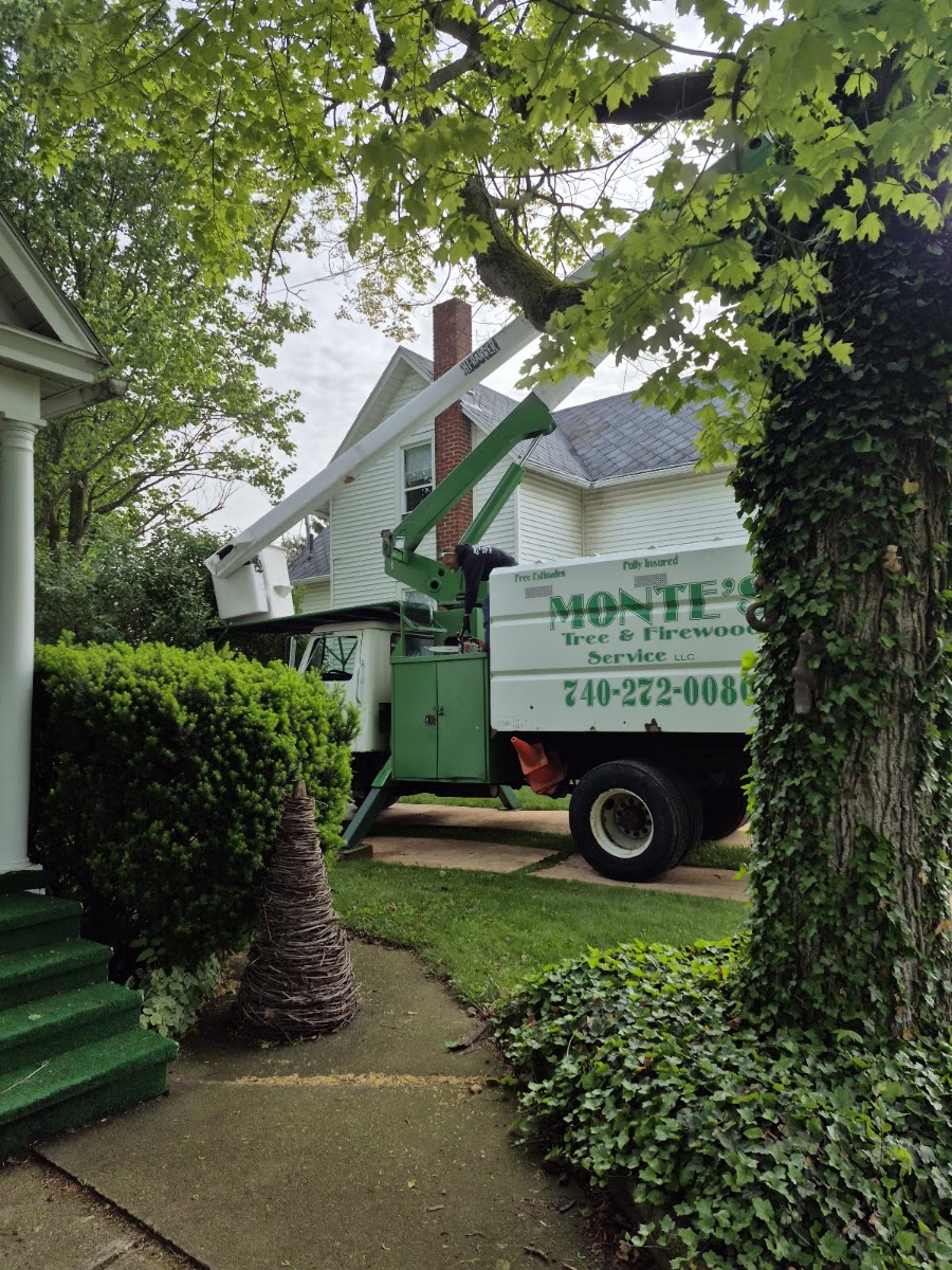Tree work